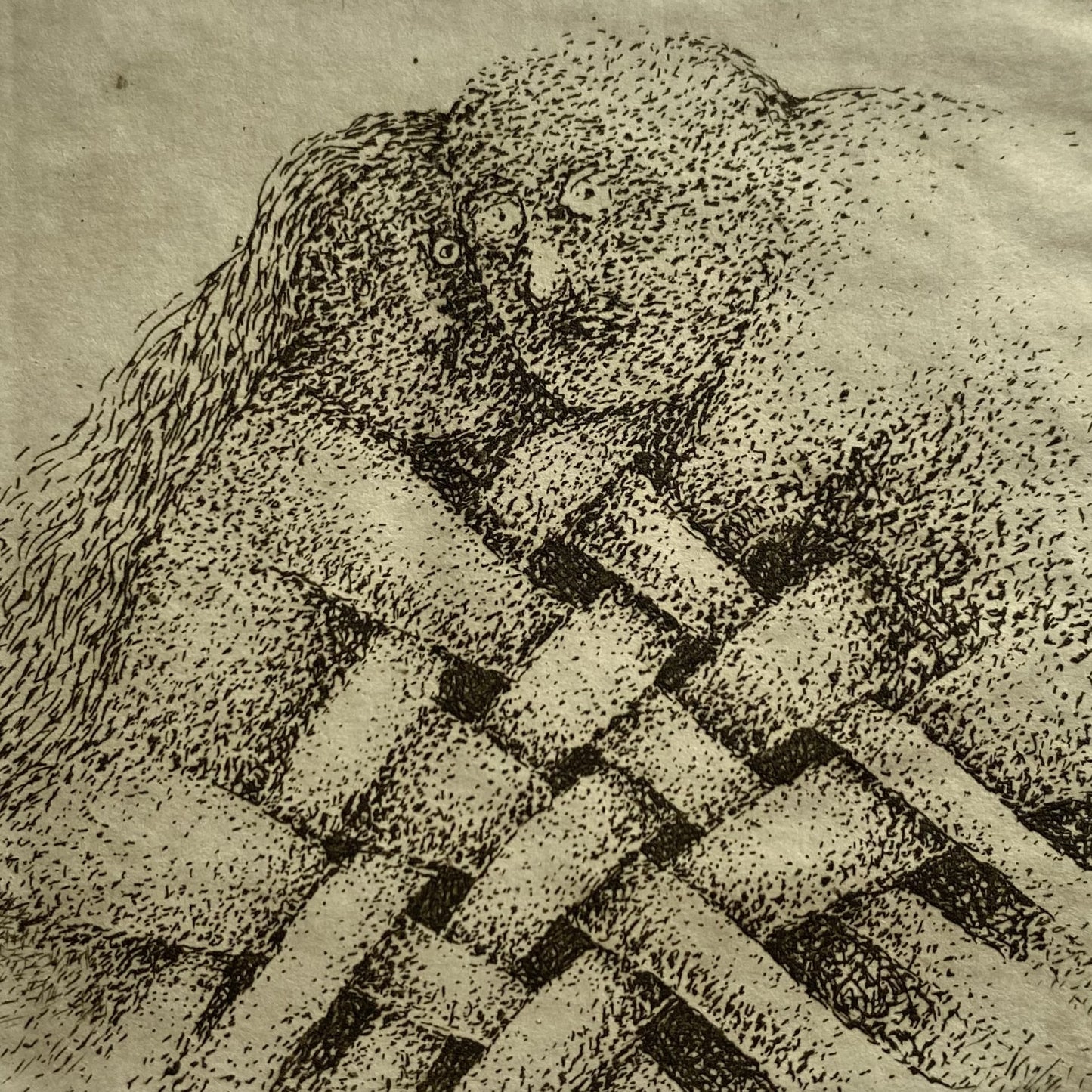 Stasys Eidrigevičius | Ekslibris Dr. Norbert Hillerbrandt, 1980 | Ofortas, 7x7