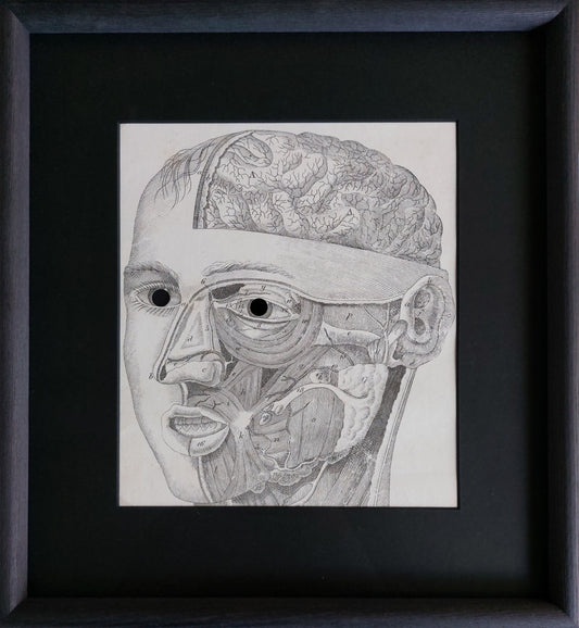Jurgis Mačiūnas | Face Anatomy Mask, c. 1973 | Ofsetinė litografija ant popieriaus, 24.8x21.6 (38.3x35.3)