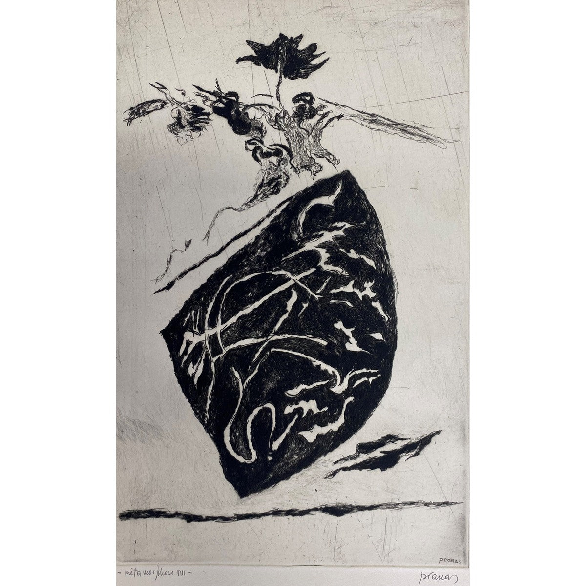 Pranas Gailius< | Métamorphose VIII, 1964<br>Vario raižinys, sausa adata, kalinėjimas, 6/10, 26x16,5 (46x33)