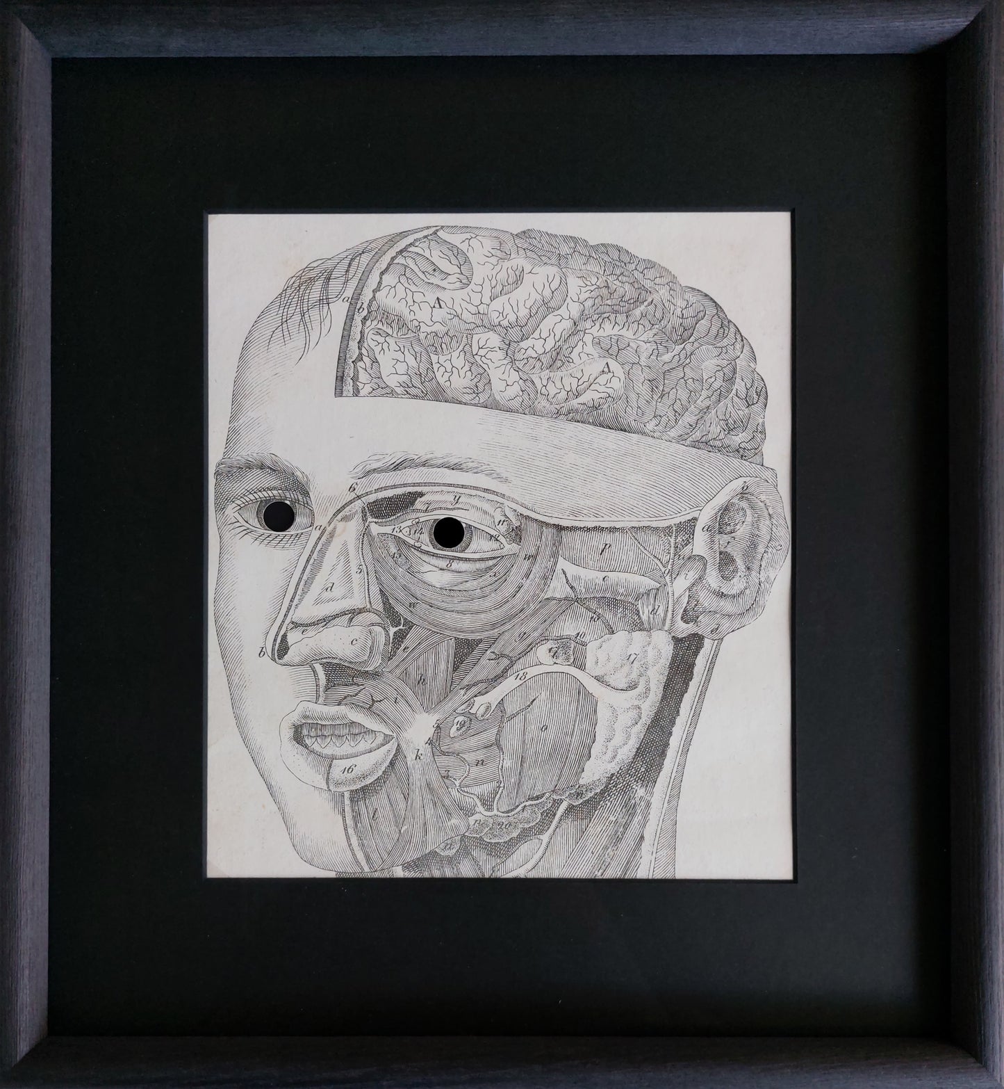 Jurgis Mačiūnas | Face Anatomy Mask, c. 1973 | Offset lithography on paper, 24.8x21.6 (38.3x35.3)