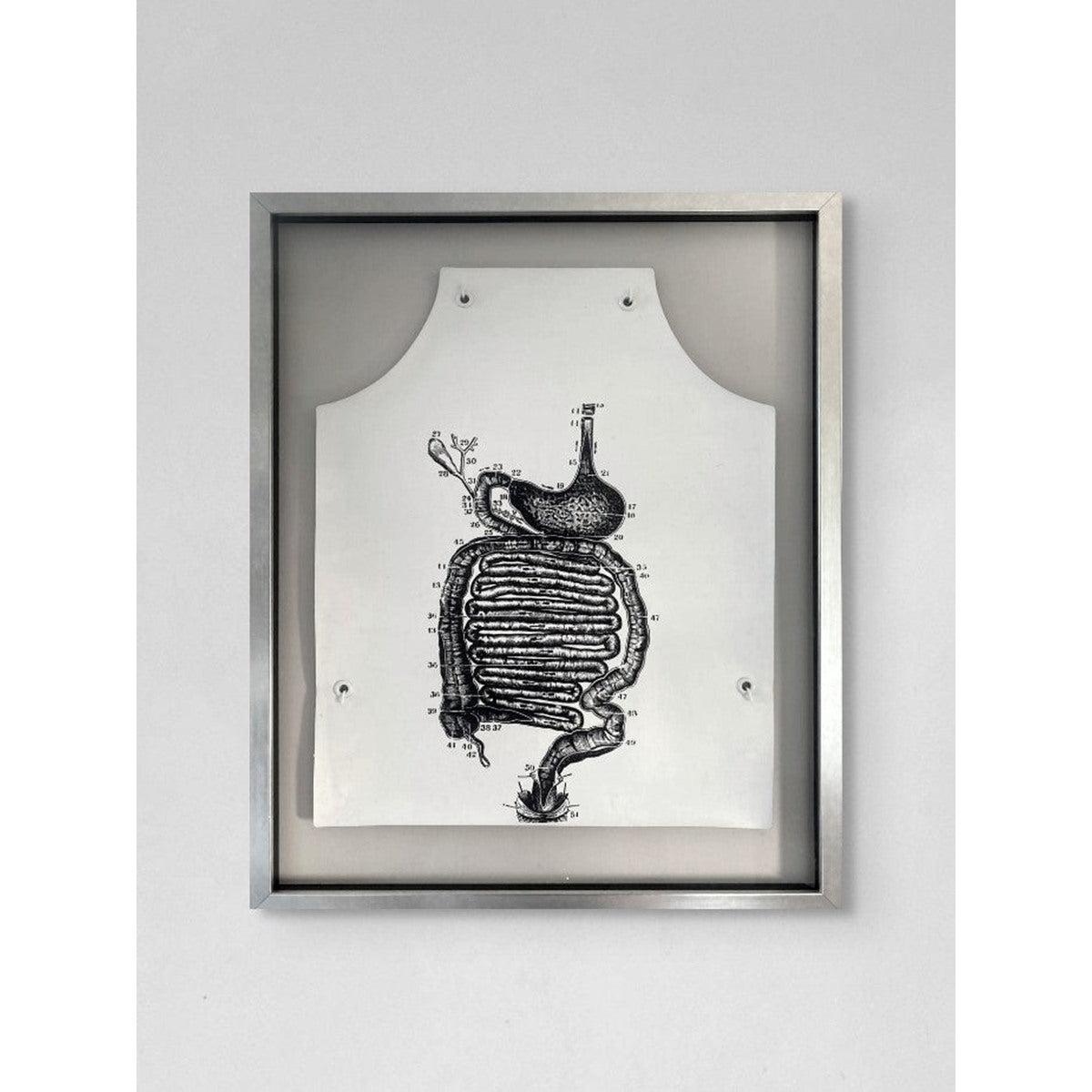 George Mačiūnas | Stomach Anatomy Apron, 1967-1973 | Šilkografija ant medžiaginio vinilo su metalinėmis įvorėmis, 50.7x40.6