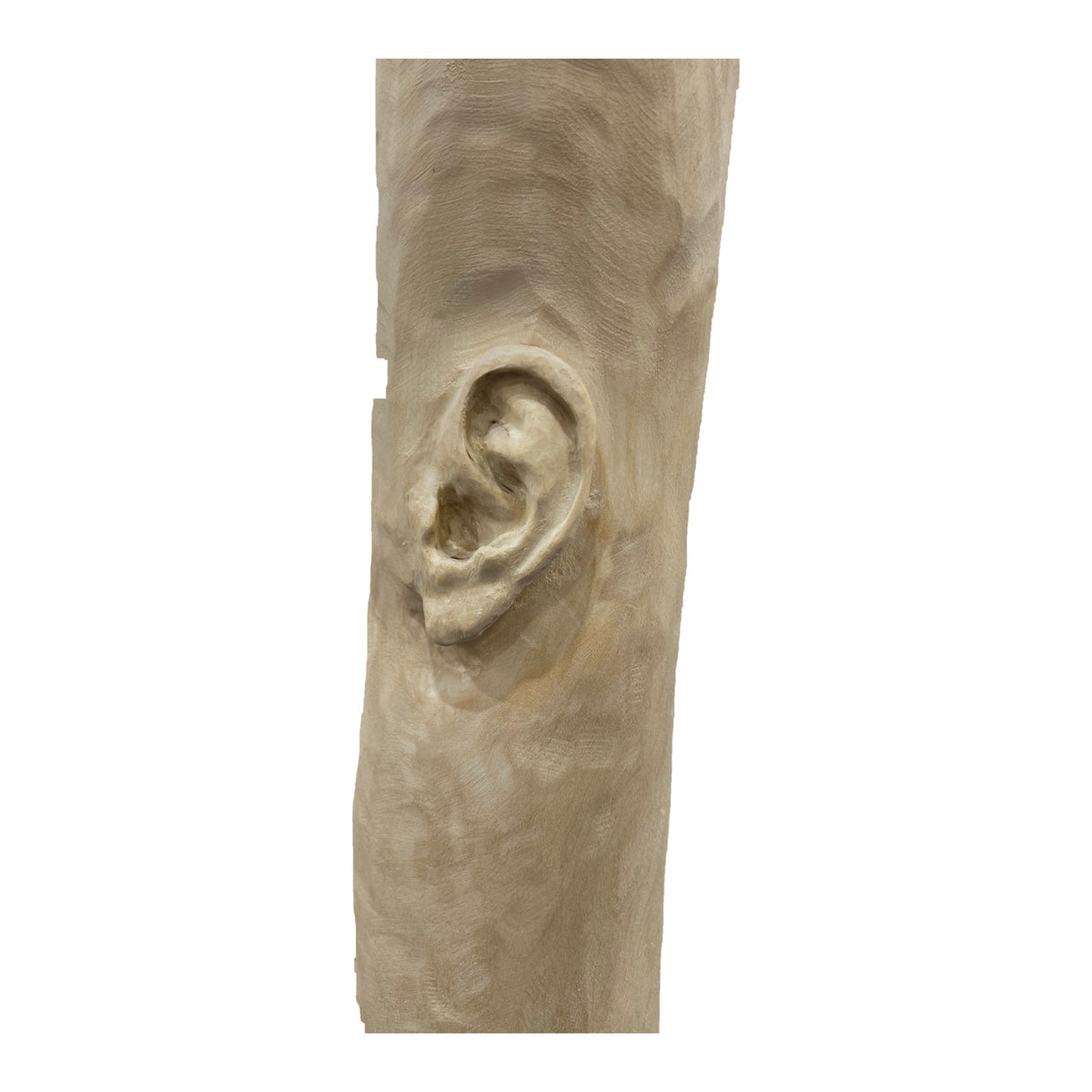 Miglė Janušaitė Jašauskė, Klausykla No. 17, 2026, wood, H 198 cm
