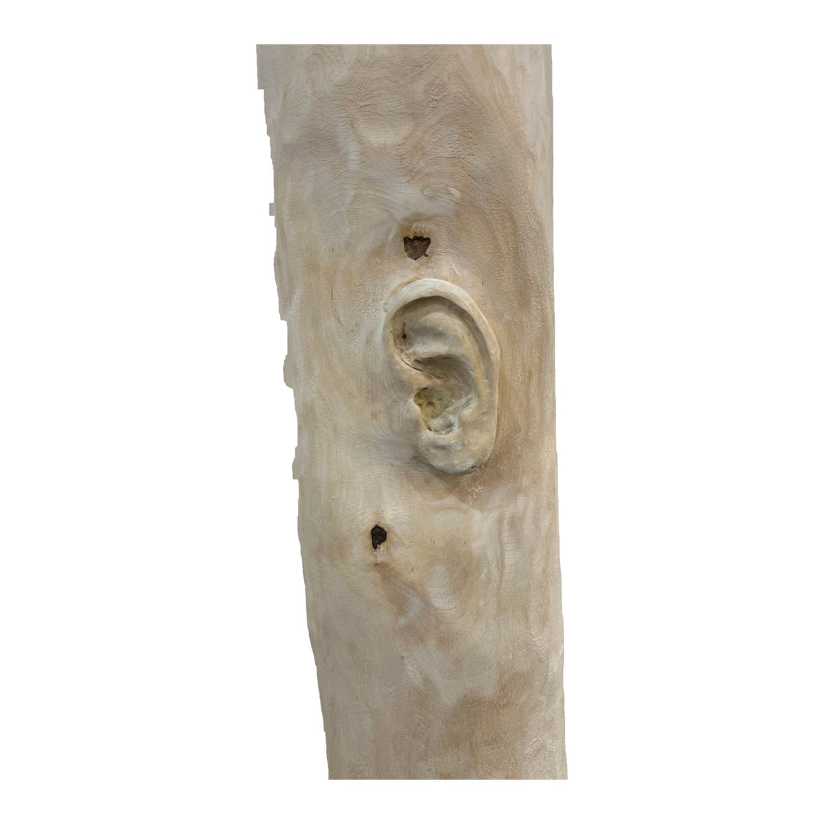 Miglė Janušaitė Jašauskė, Klausykla No. 19, 2026, wood, H 168 cm
