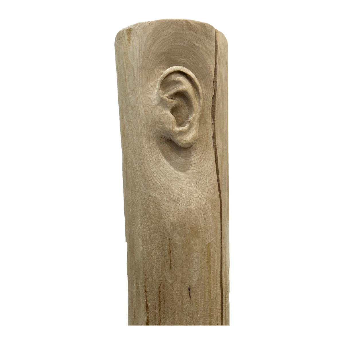 Miglė Janušaitė Jašauskė, Klausykla No. 4, 2026, wood, H 122 cm