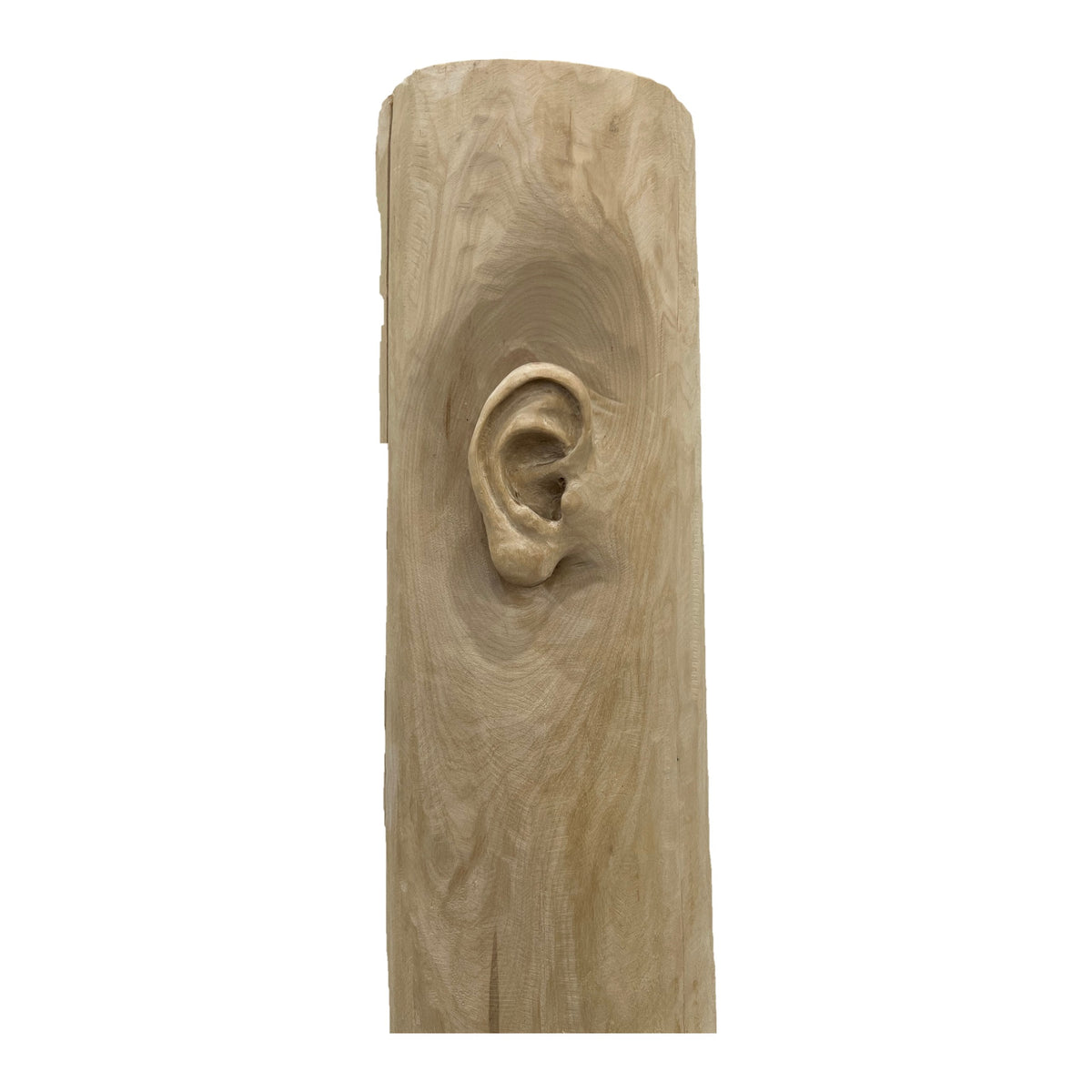 Miglė Janušaitė Jašauskė, Klausykla No. 5, 2026, wood, H 122 cm
