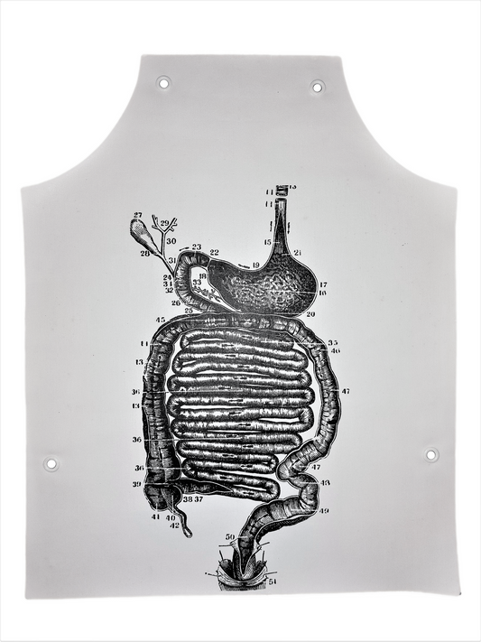 Jurgis Mačiūnas | Stomach Anatomy Apron, 1967-1973 | Šilkografija ant medžiaginio vinilo su metalinėmis įvorėmis, 50.7x40.6