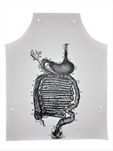 Load image into Gallery viewer, Jurgis Mačiūnas&lt;br&gt;Stomach Anatomy Apron, 1967-1973&lt;br&gt;Šilkografija ant medžiaginio vinilo su metalinėmis įvorėmis, 50.7x40.6