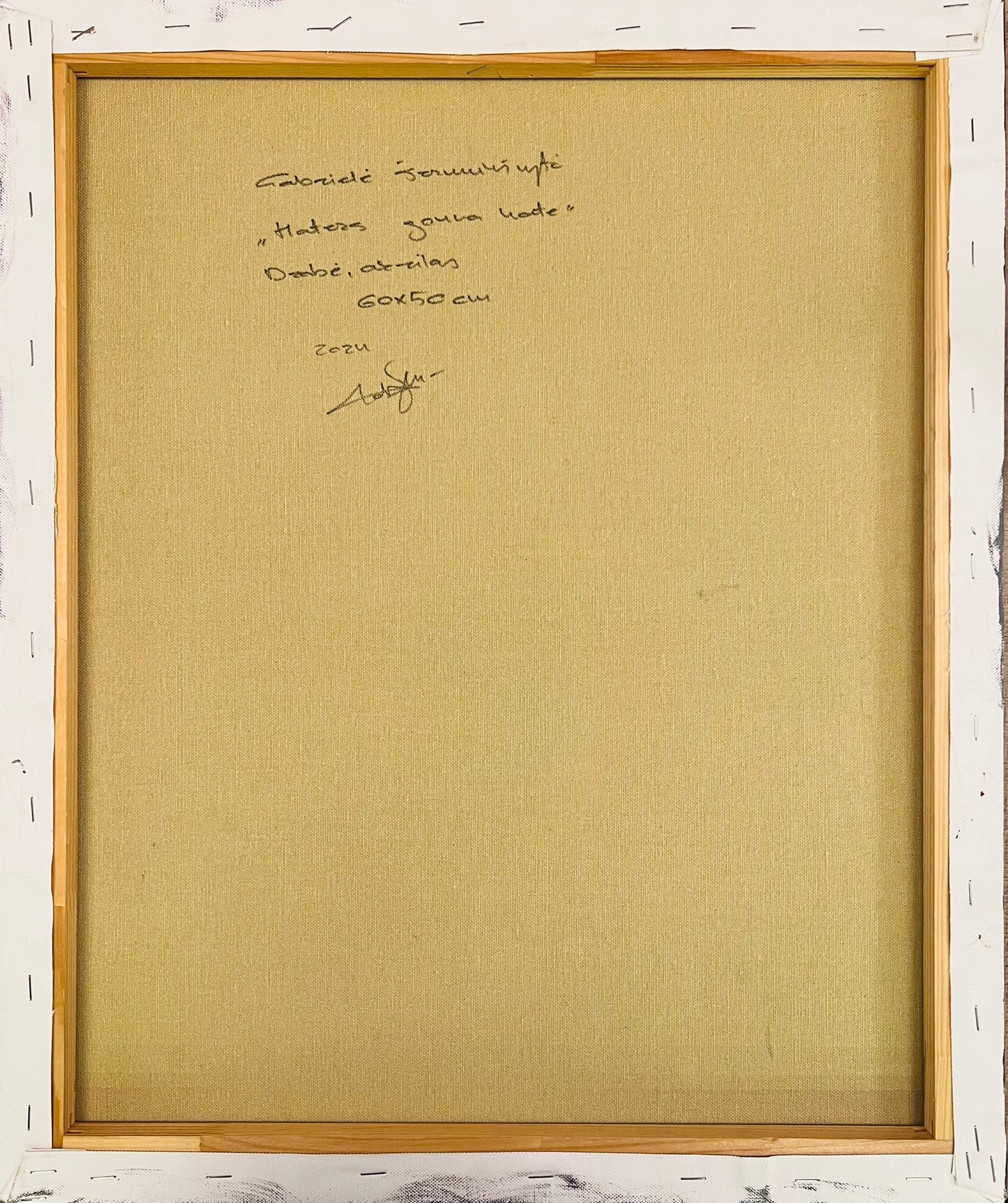 Gabrielė Šermukšnytė | Haters Gonna Hate, 2024 | Acrylic on canvas, 60x50